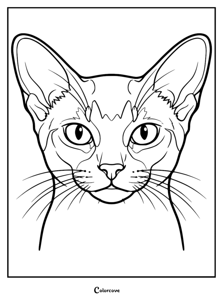 Una página para colorear de arte lineal detallada que muestra la cara triangular alerta y las grandes orejas de un gato abisinio.
