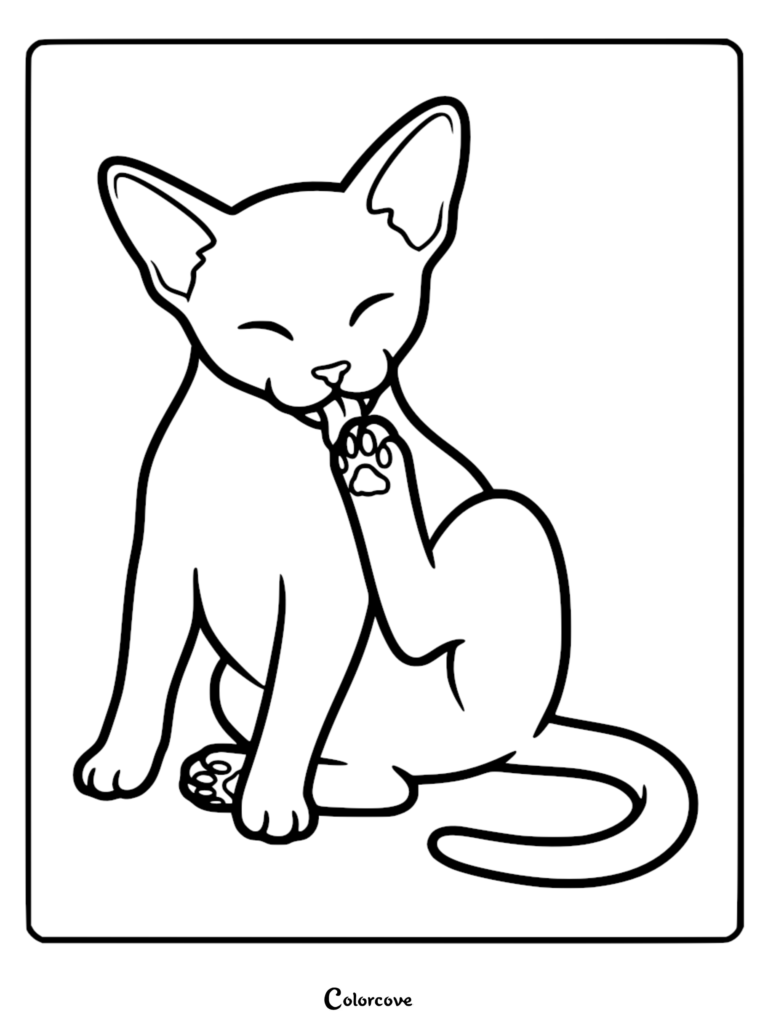 Una página para colorear de arte lineal simple de un gato abisinio sentado lamiendo su pata levantada con los ojos cerrados.