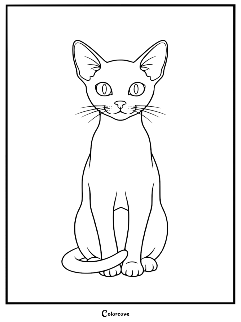 Una página para colorear de arte lineal limpio que muestra a un esbelto gato abisinio sentado erguido con grandes orejas puntiagudas y ojos alertas.