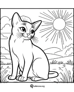 a cat sitting in a field