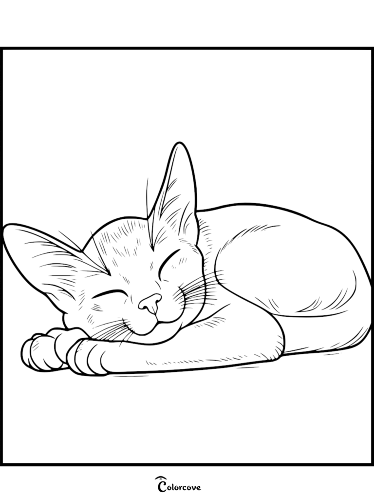 Un pacífico gato abisinio con orejas grandes acurrucado durmiendo en esta página para colorear imprimible.