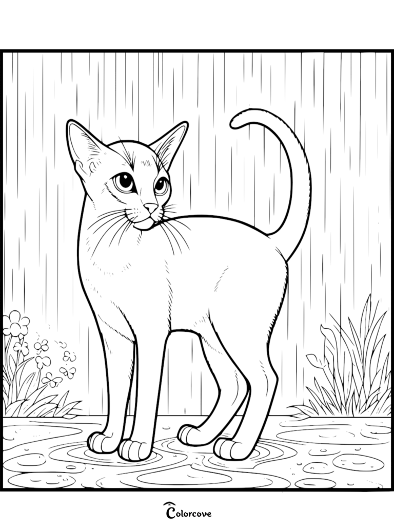 Un gato abisinio de pie en un charco de lluvia con flores y hierba, página para colorear de arte lineal.