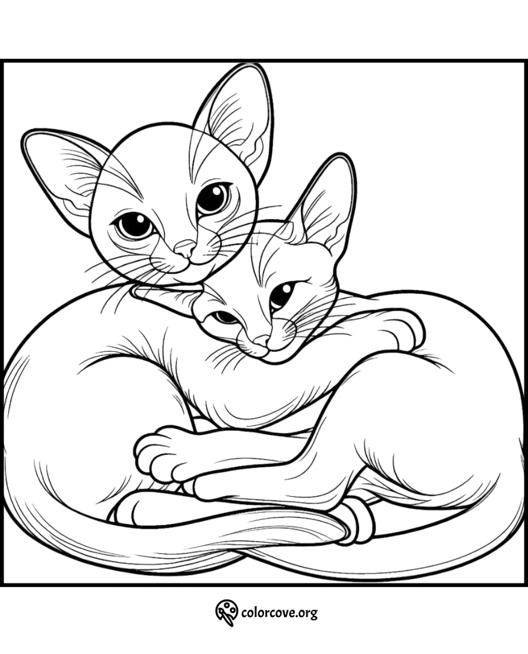 a coloring page of two cats