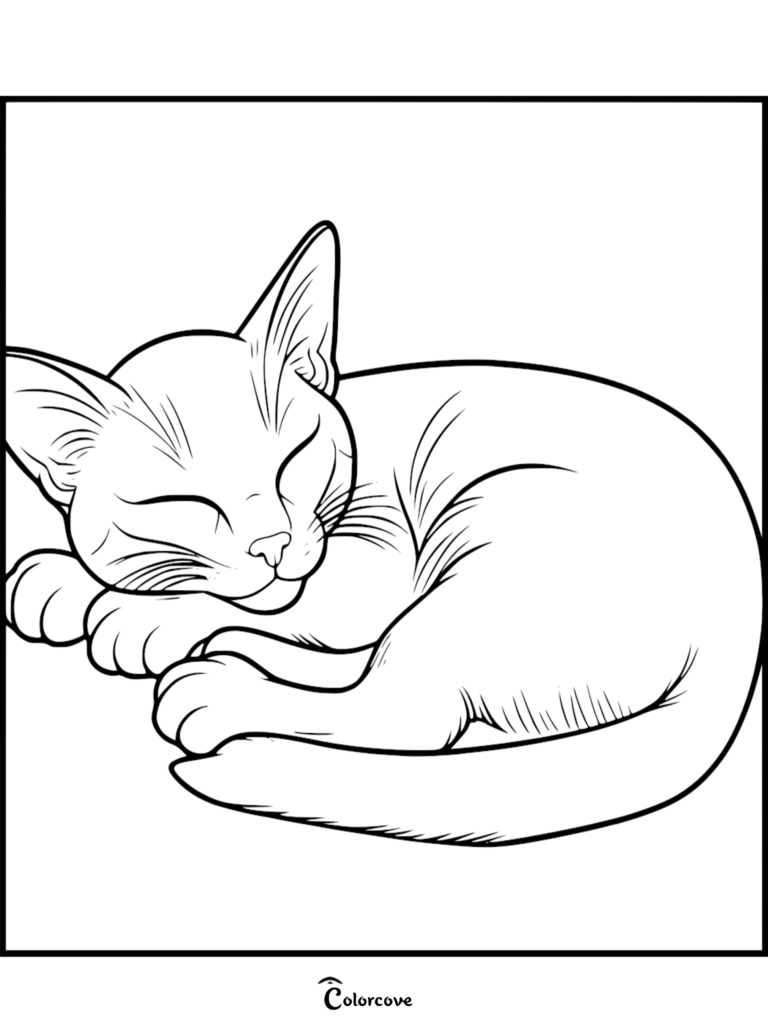 Un pacífico gato abisinio acurrucado y durmiendo en un estilo de página para colorear de arte lineal simple.