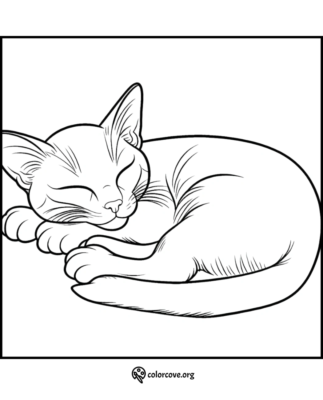 a cat sleeping on a white background