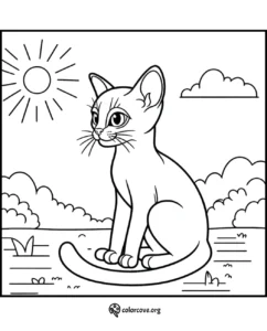 a cat sitting on a grass