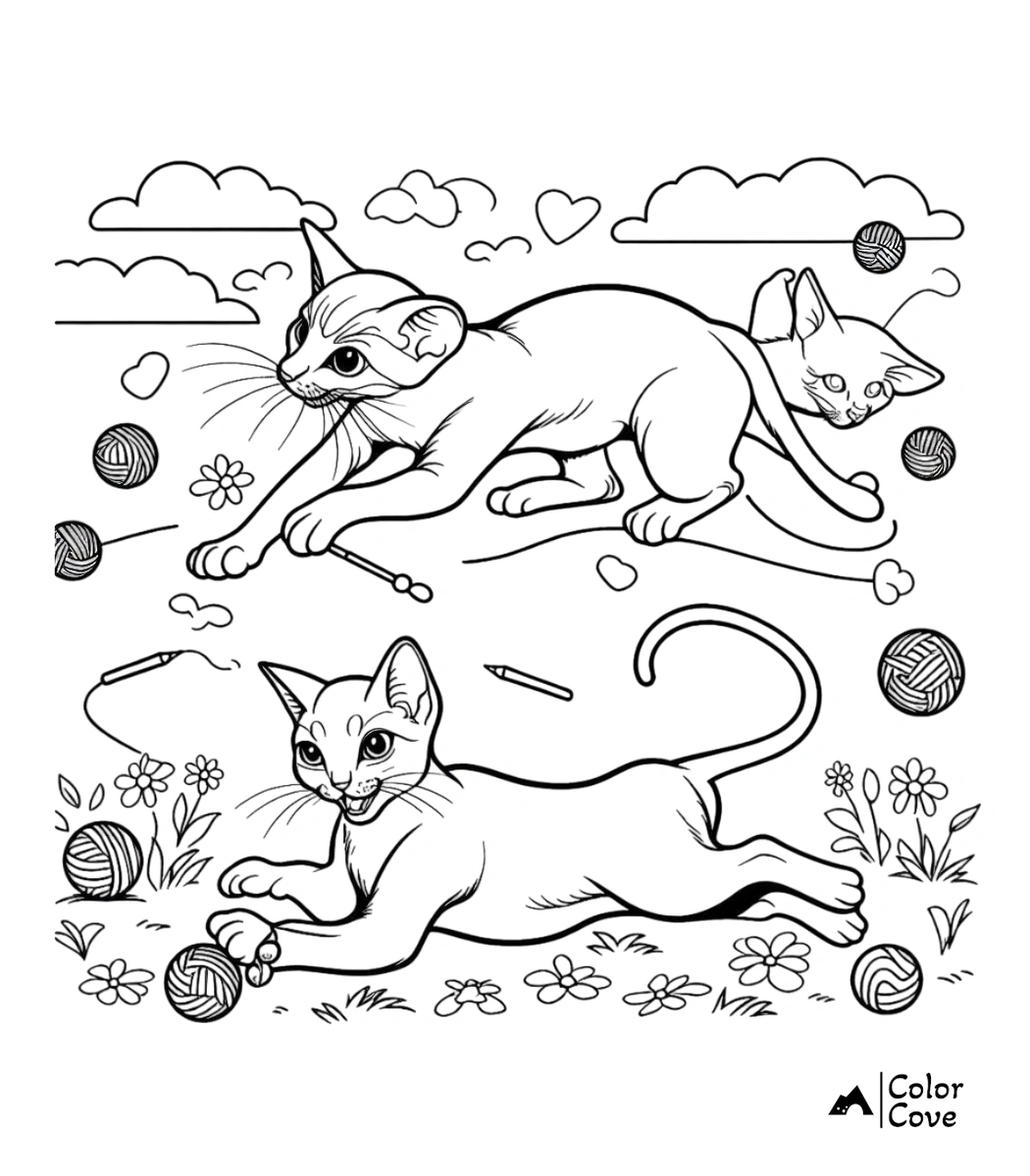 a coloring page of a cat