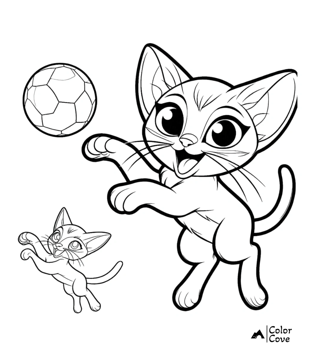 a cat playing with a ball