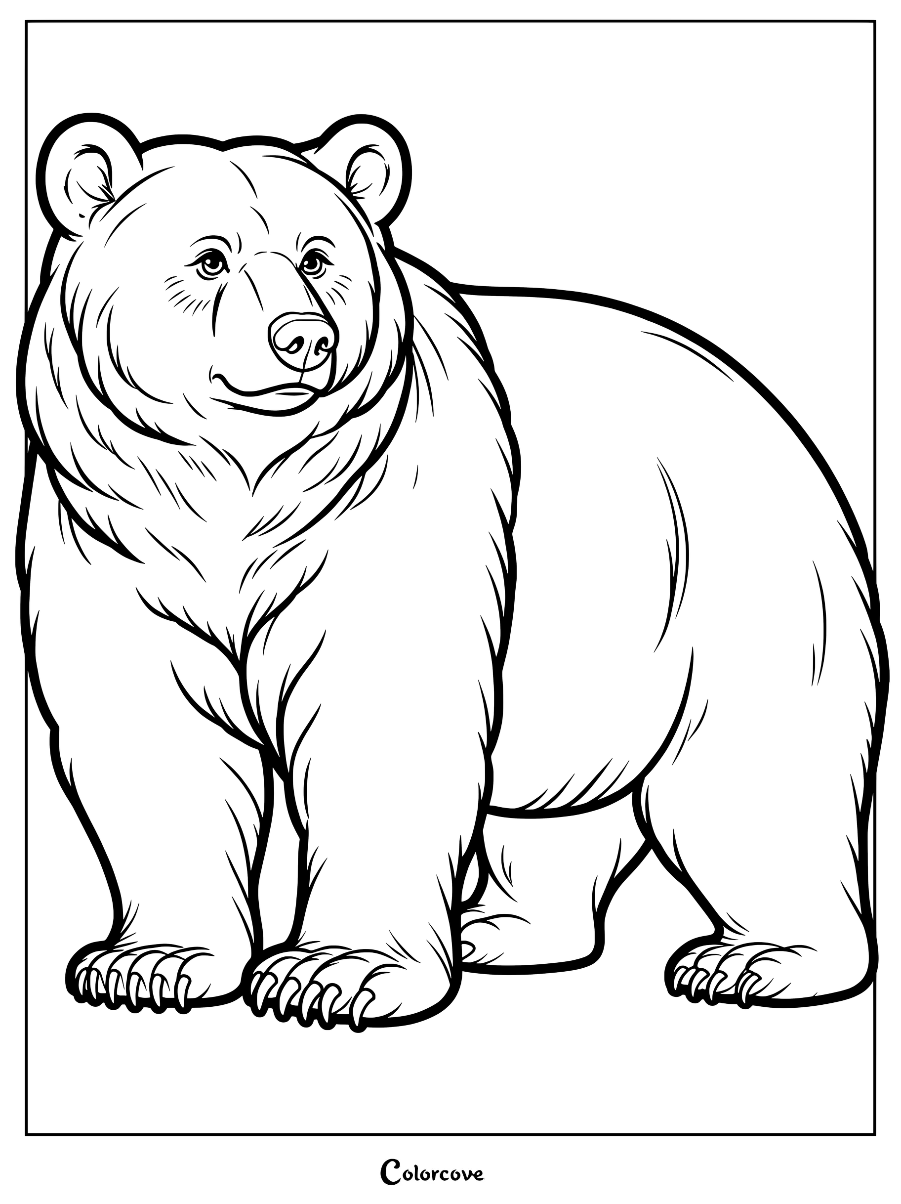 Un ours mignon debout fièrement dans un coloriage détaillé