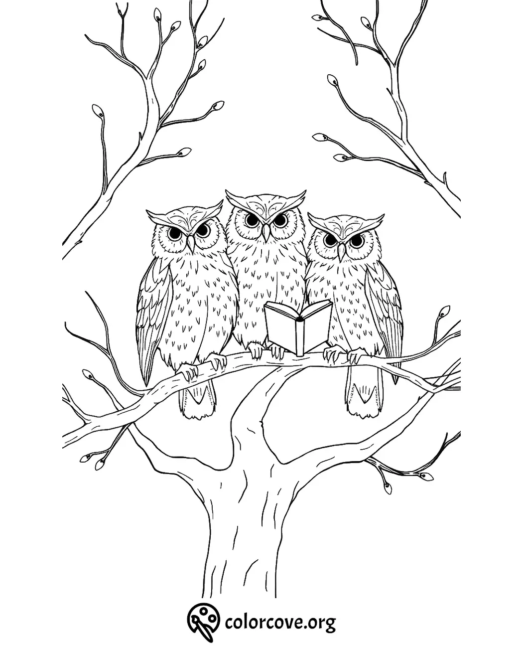 Three owls on a tree branch with a book, coloring page for relaxation and creativity.