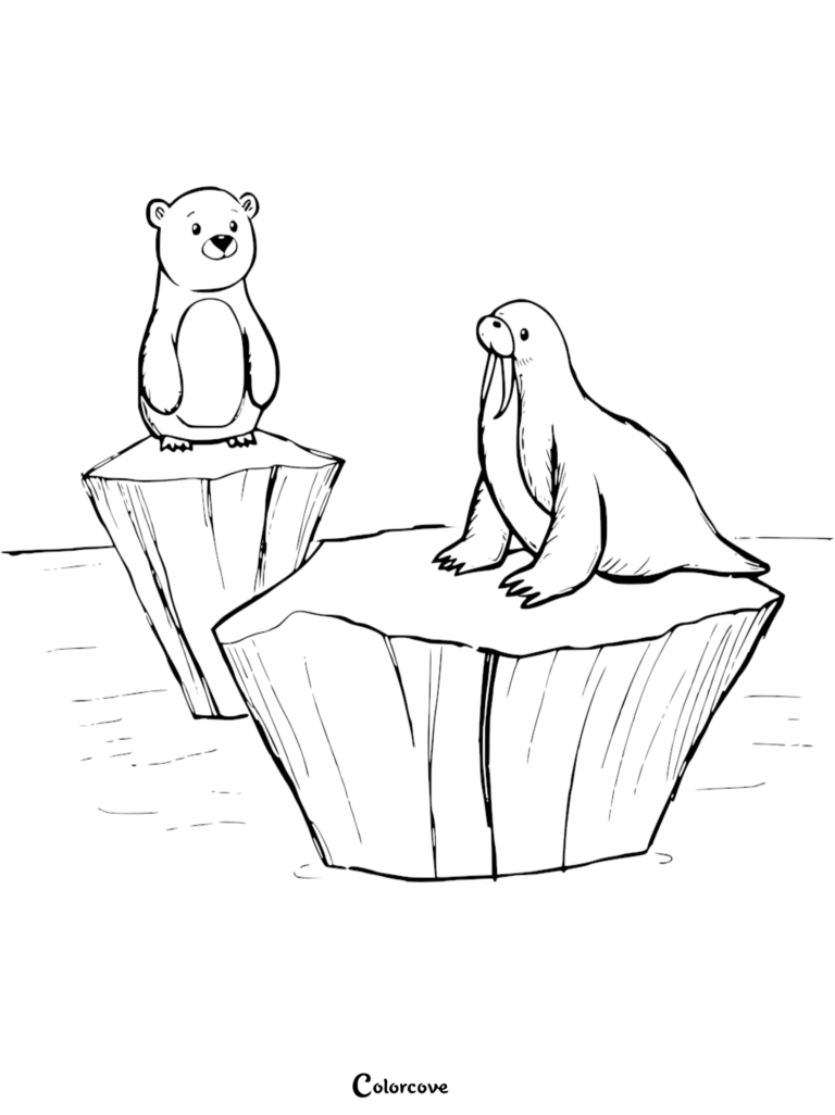 A cute polar bear and a walrus sitting on separate ice floes in this printable Arctic animals coloring page.