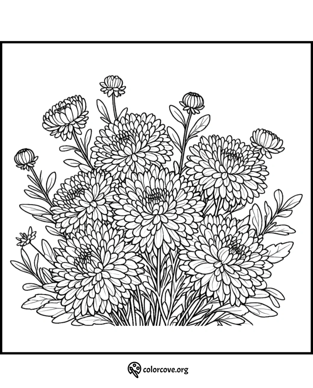 Flower bouquet coloring page featuring detailed chrysanthemums and leaves for stress relief and mindfulness.