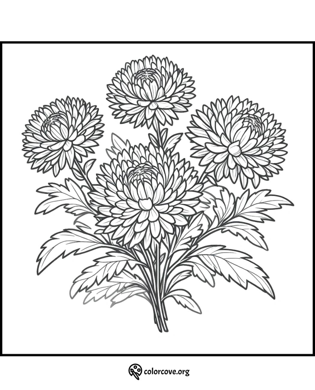 Coloring page featuring detailed, intricate chrysanthemum flowers with leaves, ideal for stress relief and relaxation.