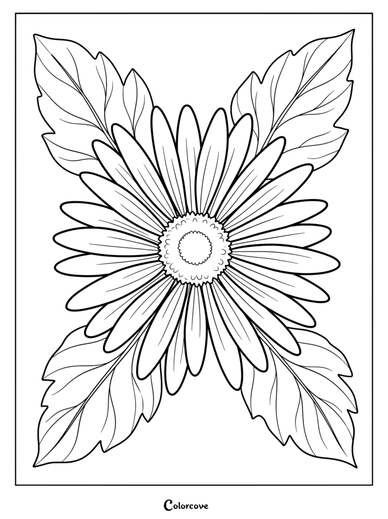 Detailed Aster flower coloring page featuring layered petals and large surrounding leaves.