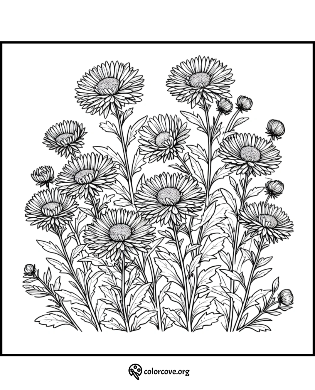 Coloring page featuring a detailed illustration of blooming daisies with leaves. Perfect for relaxation and stress relief.