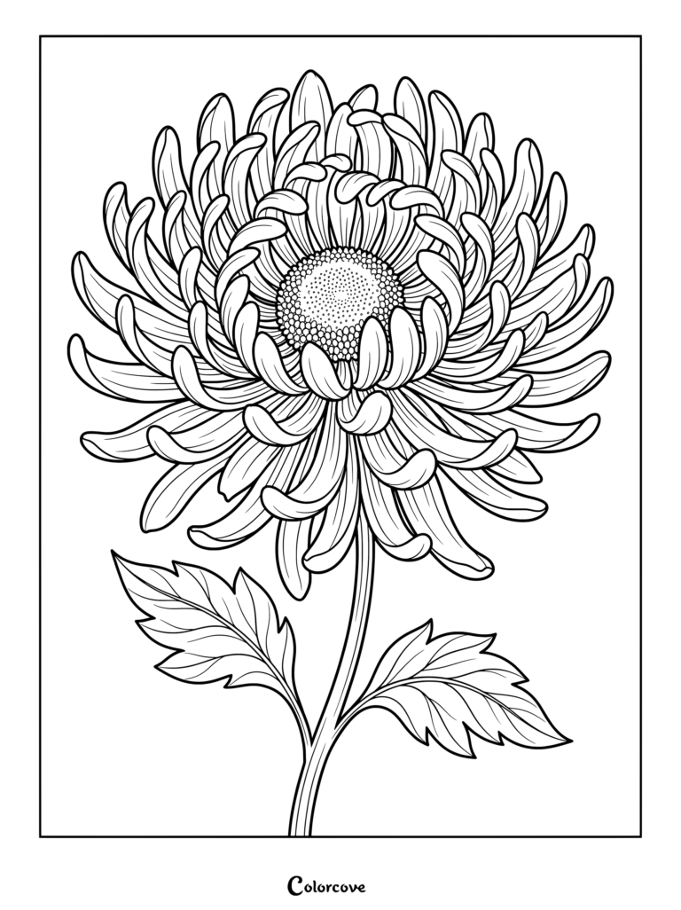 Detailed black and white Aster coloring page featuring a blooming flower with textured petals.