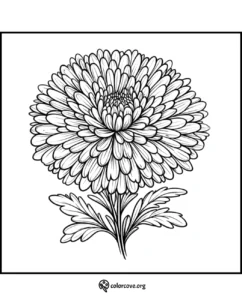 Detailed flower coloring page with intricate petals and leaves, perfect for adults and kids to color and enjoy.