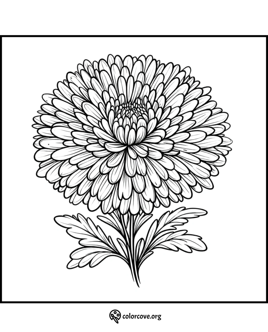 Detailed flower coloring page with intricate petals and leaves, perfect for adults and kids to color and enjoy.