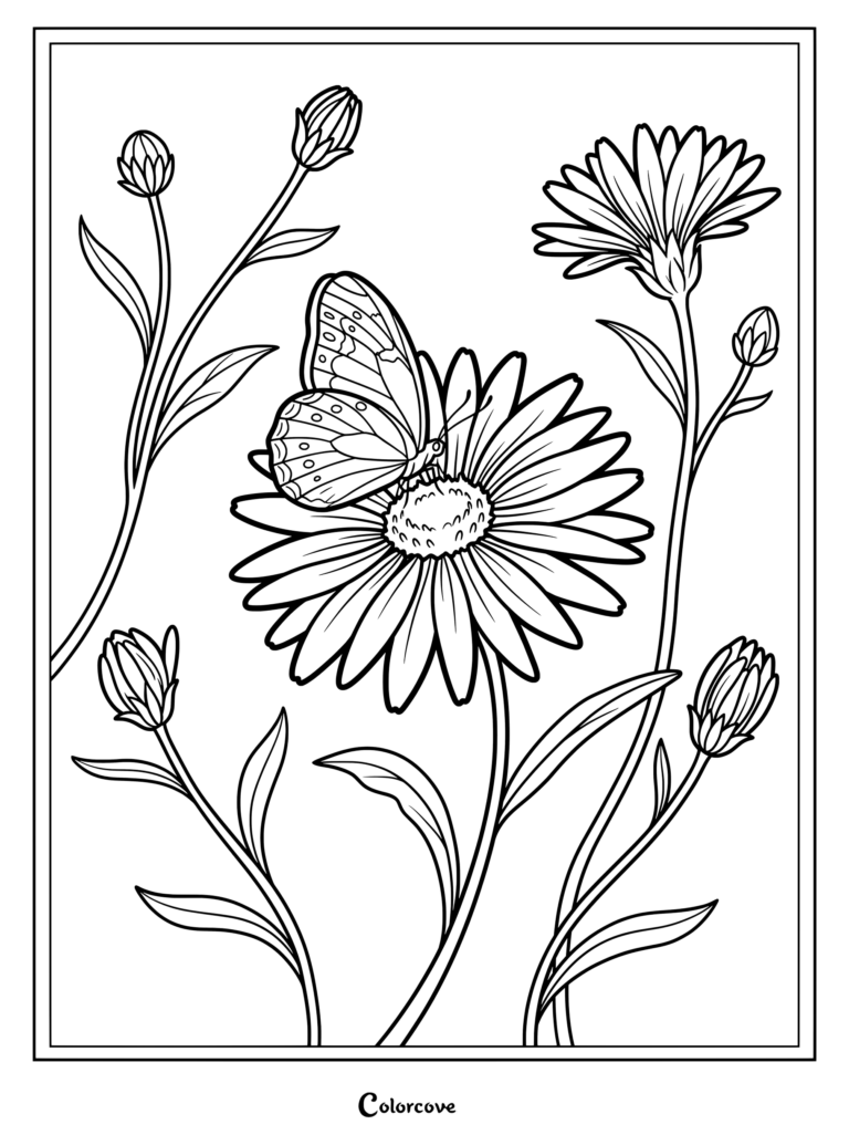 A delicate butterfly resting on an Aster coloring page surrounded by buds.
