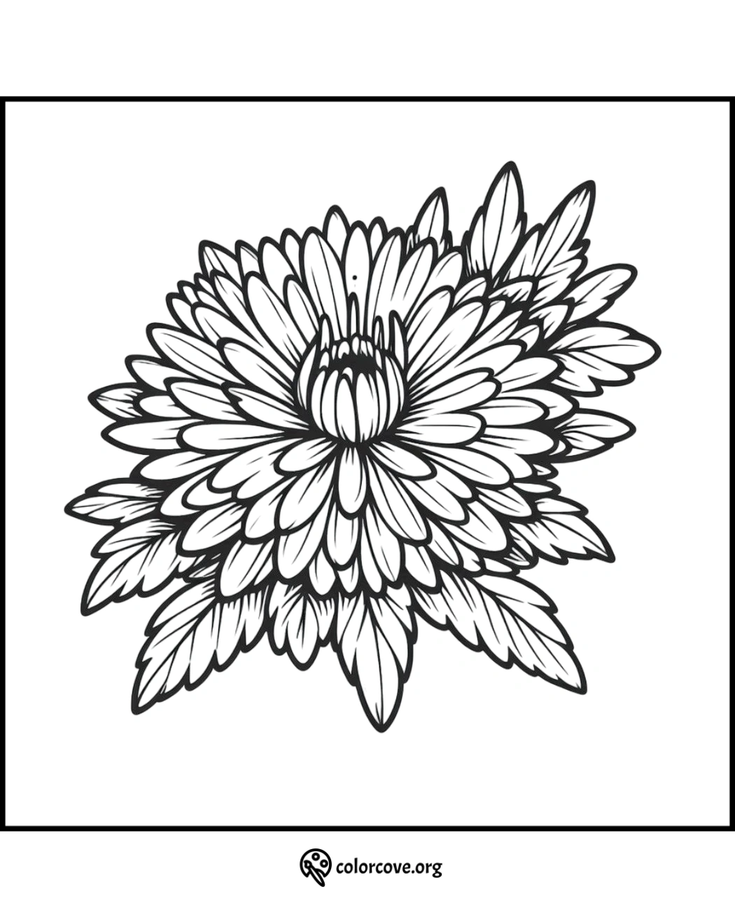 Black and white flower coloring page with detailed petals, suitable for kids and adults, by colorcove.org.