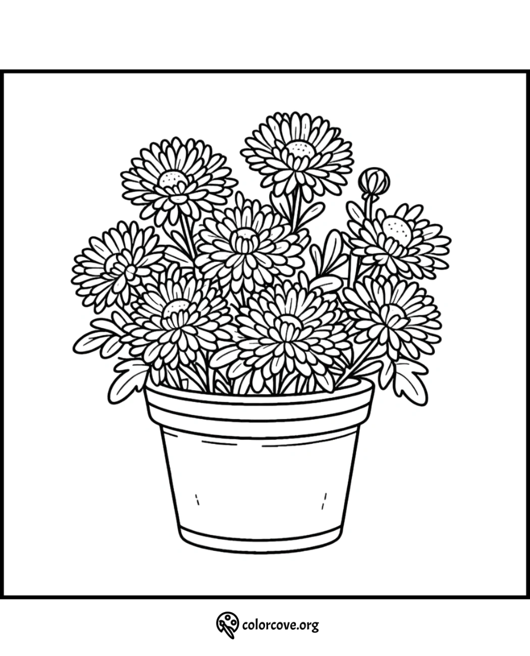 Coloring page of a flower pot with blooming daisies, perfect for kids and adults to color. Visit colorcove.org for more.