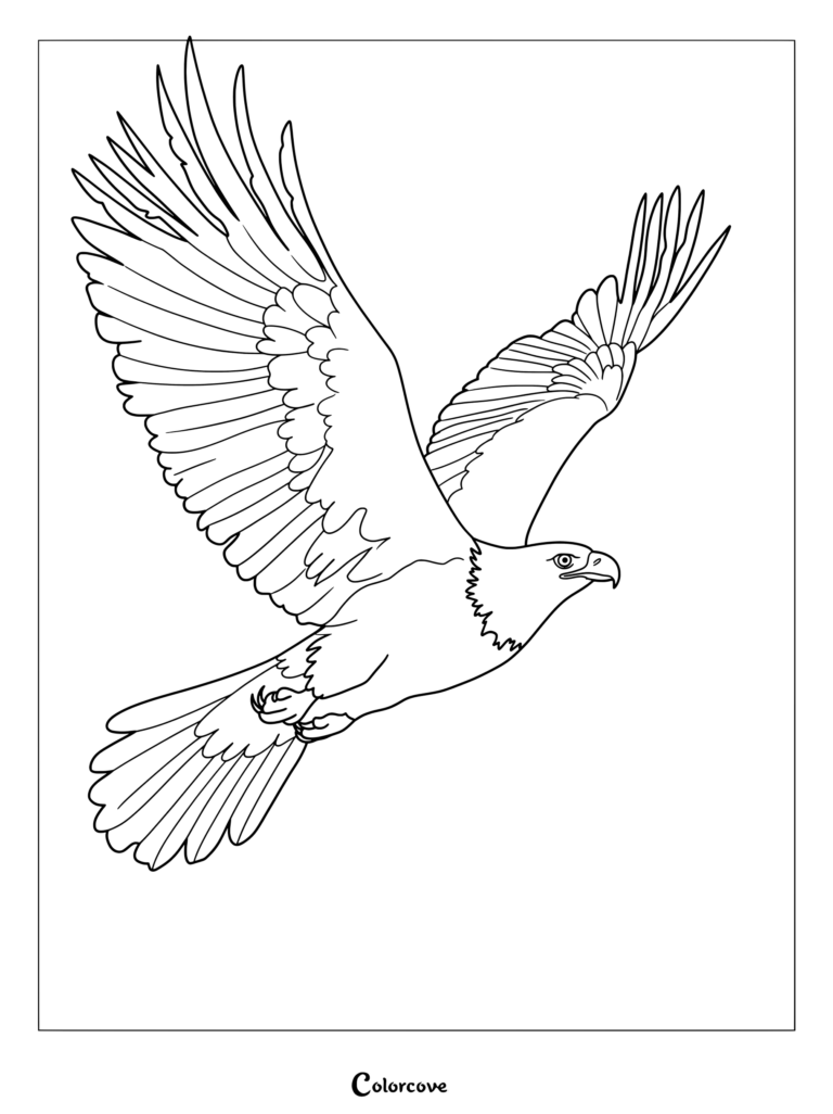 Bald Eagle coloring page featuring a majestic bird soaring with wings fully extended.