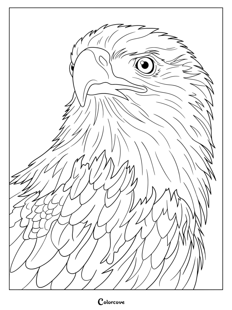 Close-up coloring page of a majestic bald eagle with detailed feathers.