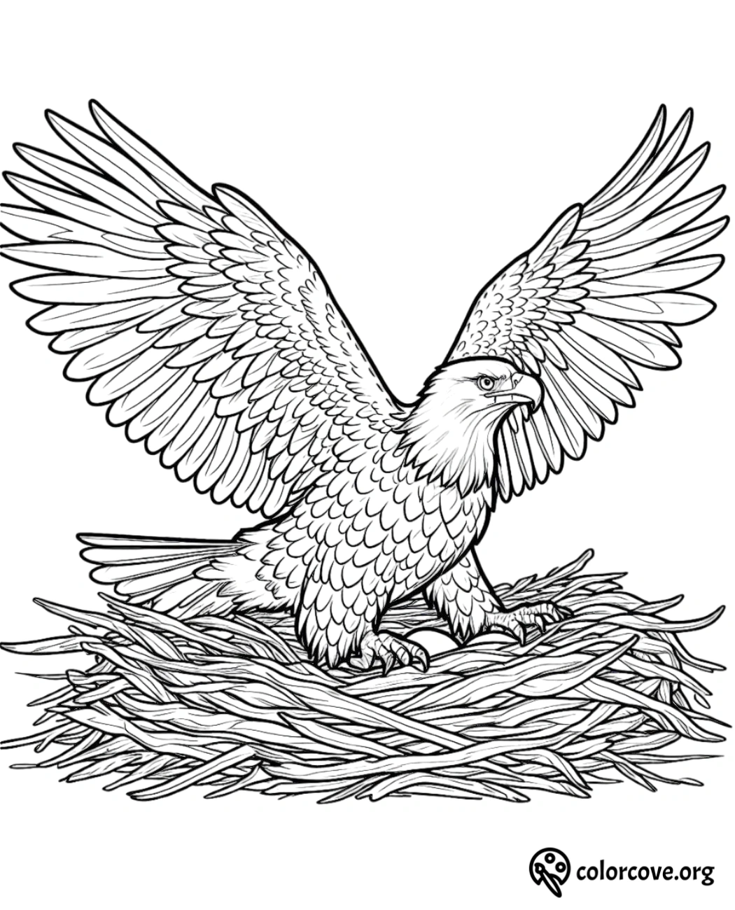 a drawing of an eagle on a nest