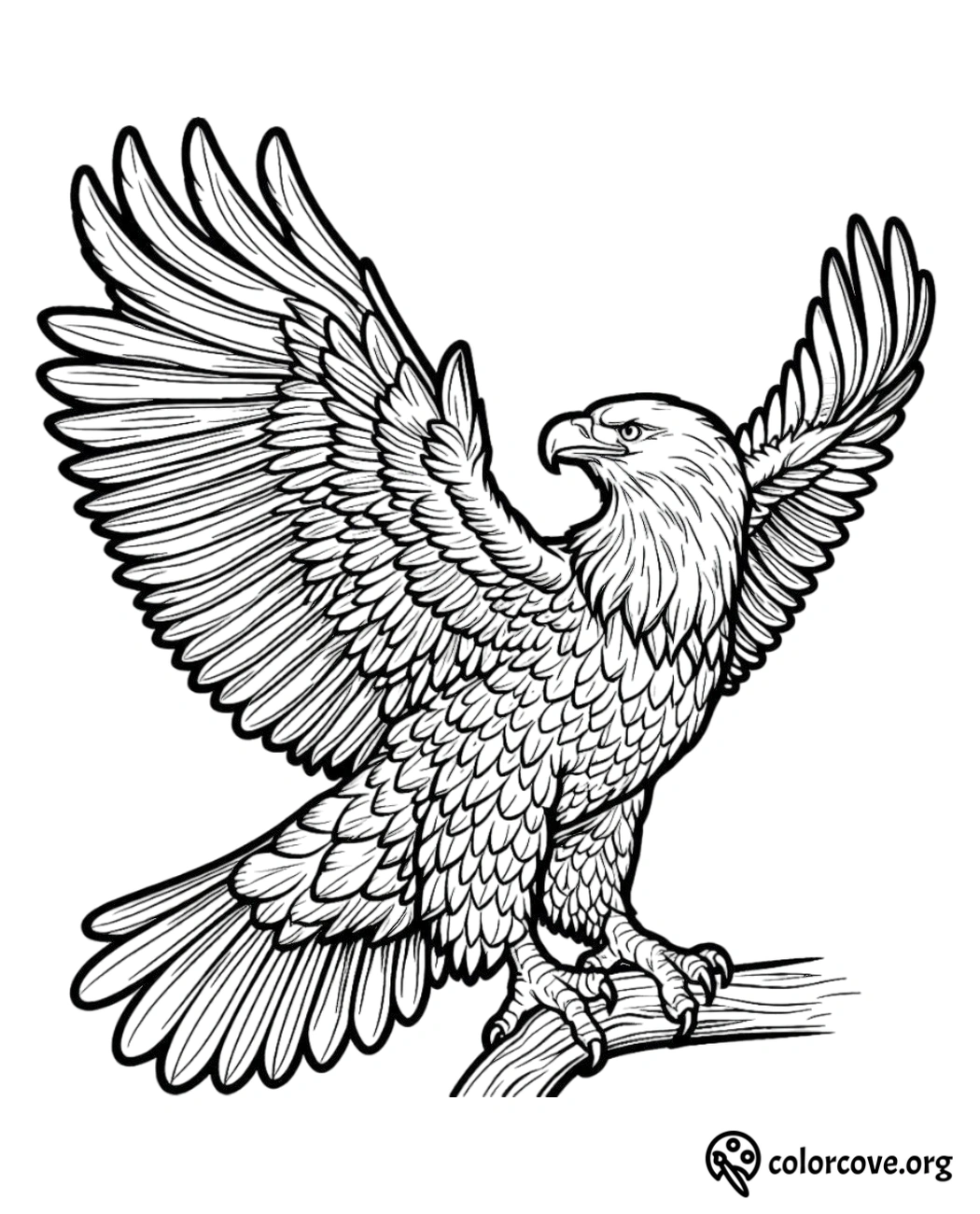 a black and white drawing of an eagle