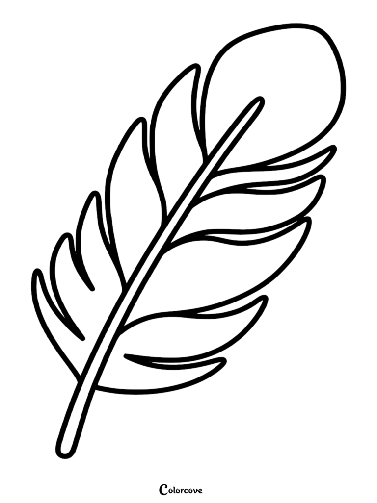 A simple Bald Eagle feather coloring page with bold outlines for easy printing.