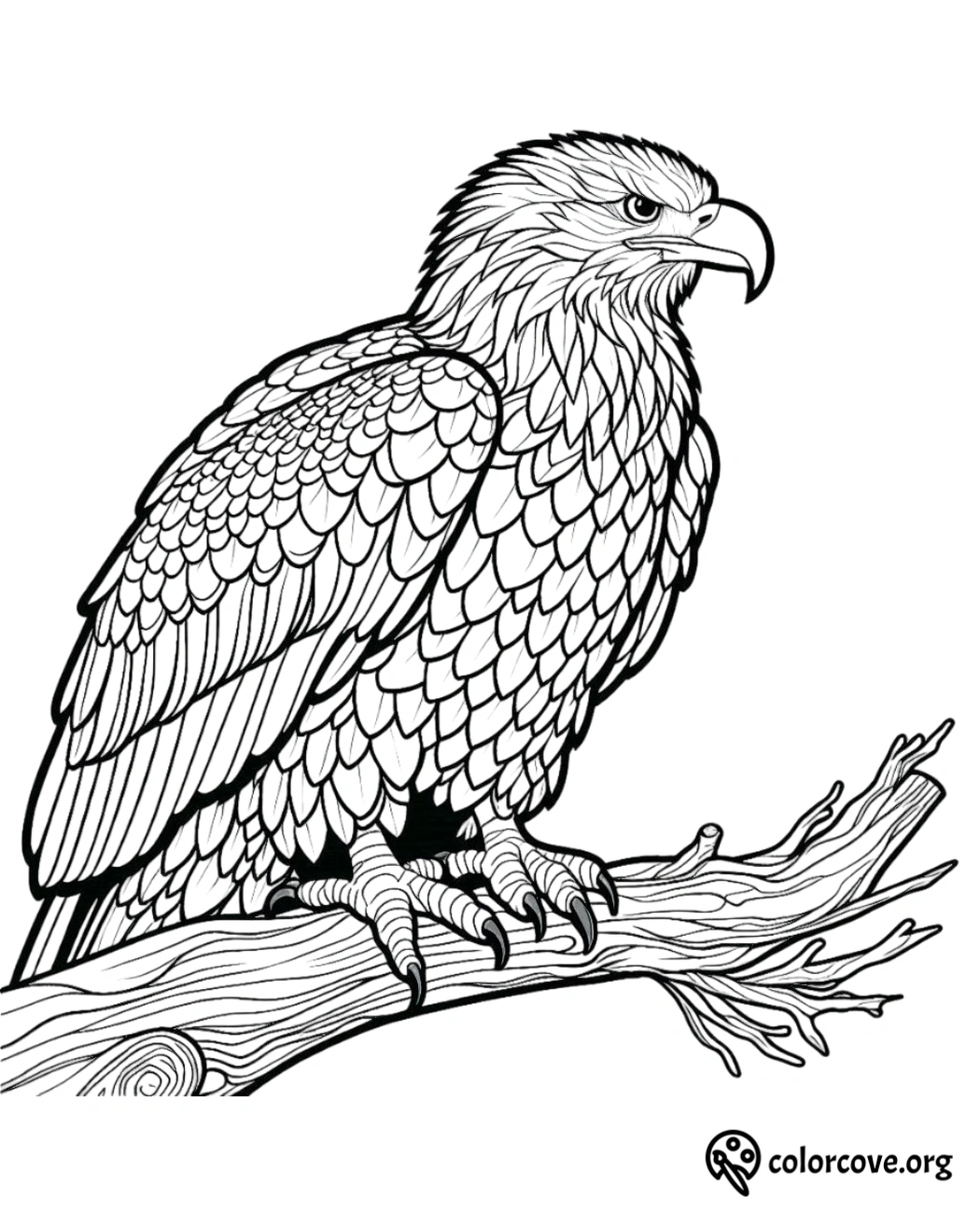 a black and white drawing of a bird on a branch