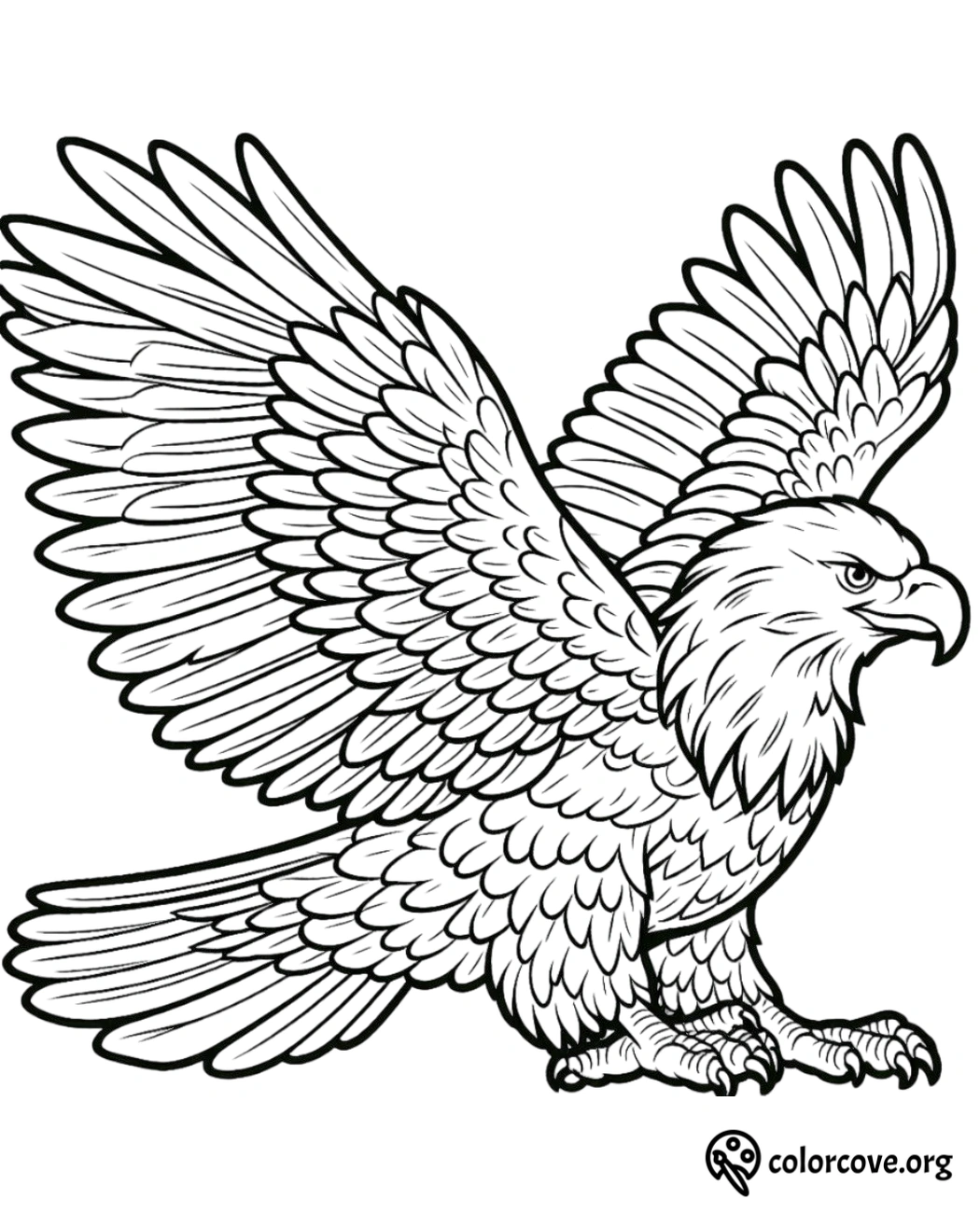 a drawing of an eagle