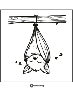 Cute bat sleeping upside down coloring page - Printable coloring pages for kids - forest animals coloring activity.
