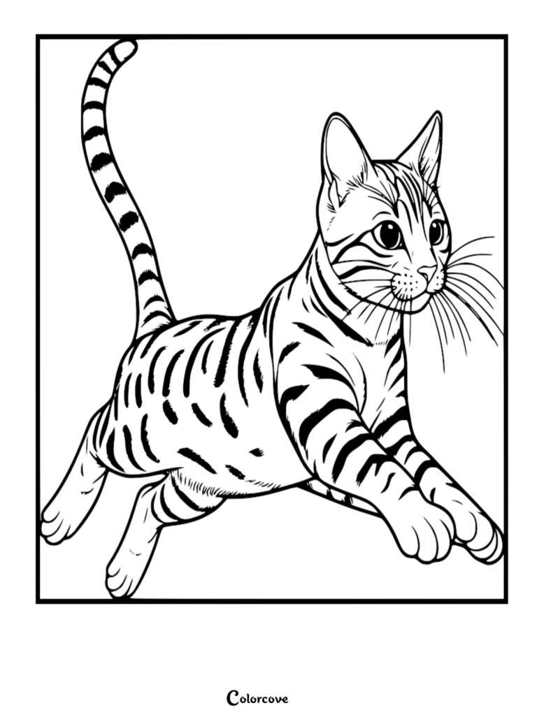 Una página para colorear detallada de un gato bengalí que muestra a un gato moteado saltando con la cola en alto.