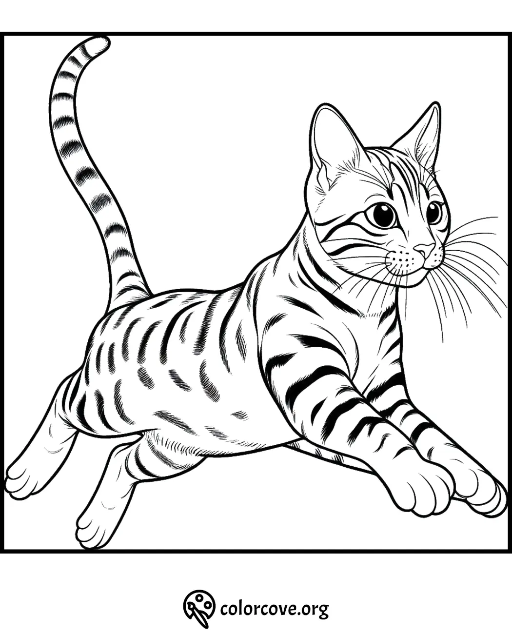 Coloring page of a cute, jumping tabby cat outlined in black and white with detailed fur patterns.