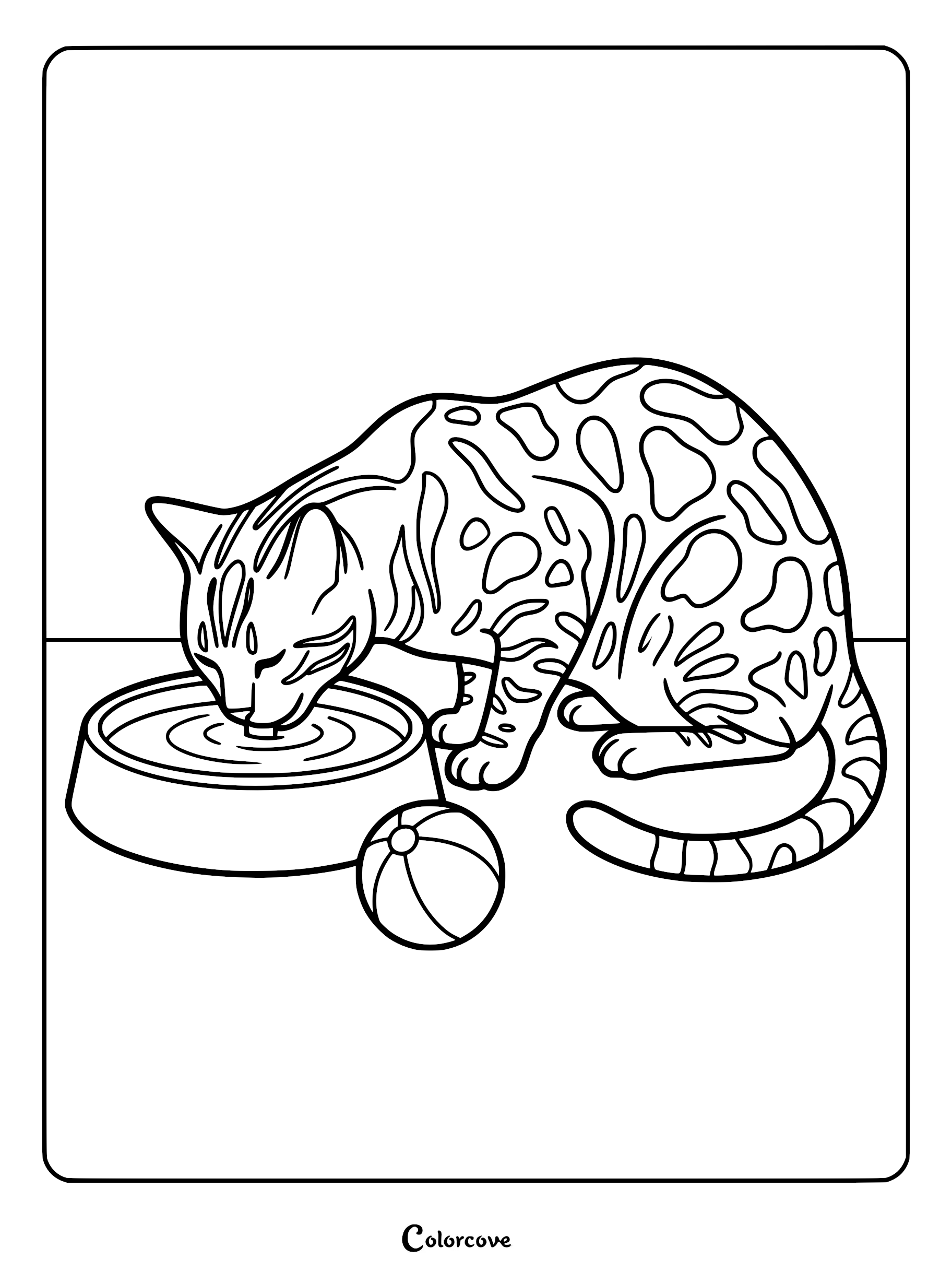 A spotted Bengal cat drinking water from a bowl next to a small ball in this printable coloring page.