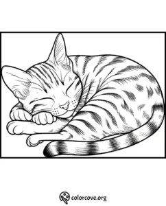 Coloring page of a sleeping cat with striped fur and closed eyes, perfect for kids and cat lovers. Printable and fun!