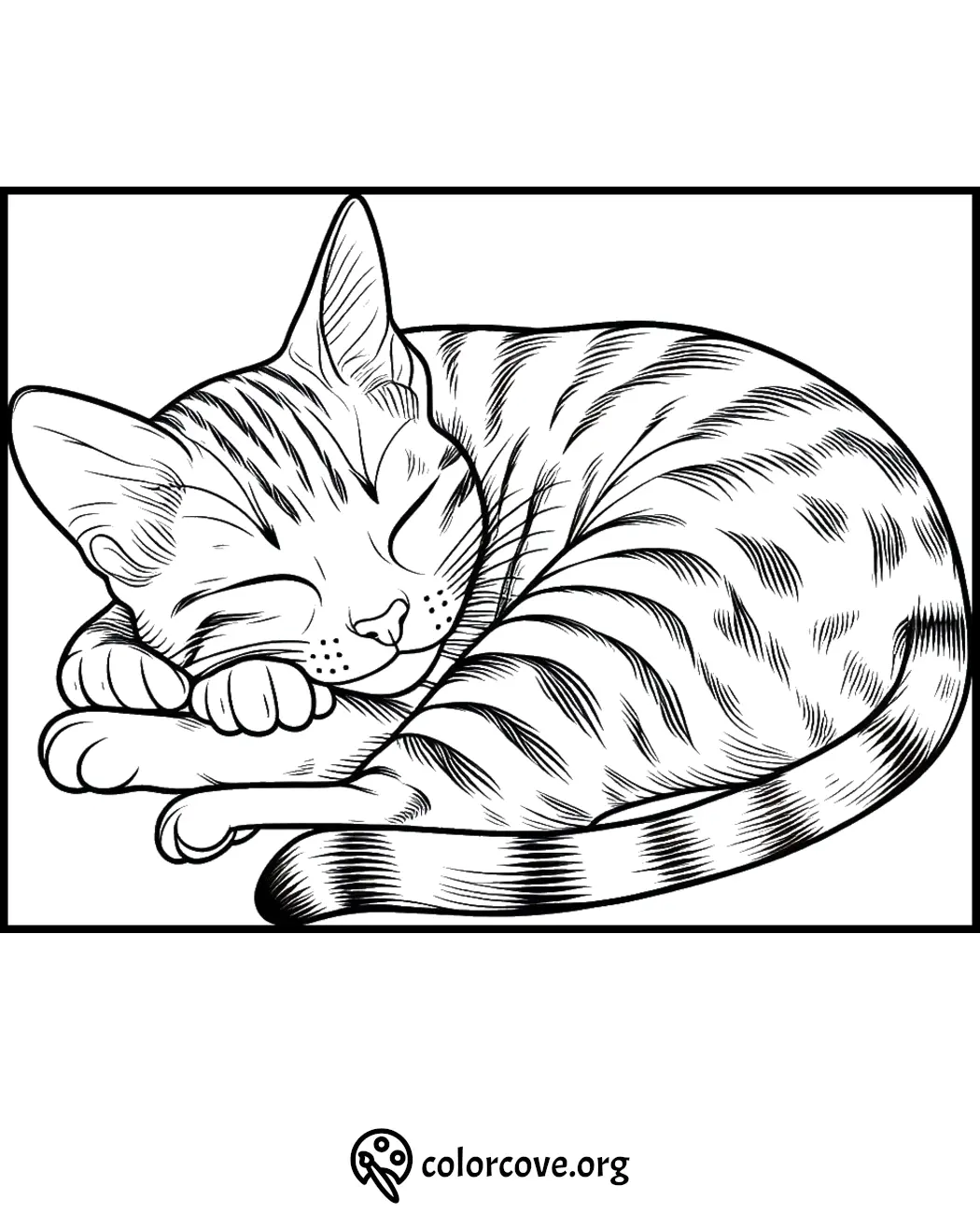 Coloring page of a sleeping cat with striped fur and closed eyes, perfect for kids and cat lovers. Printable and fun!