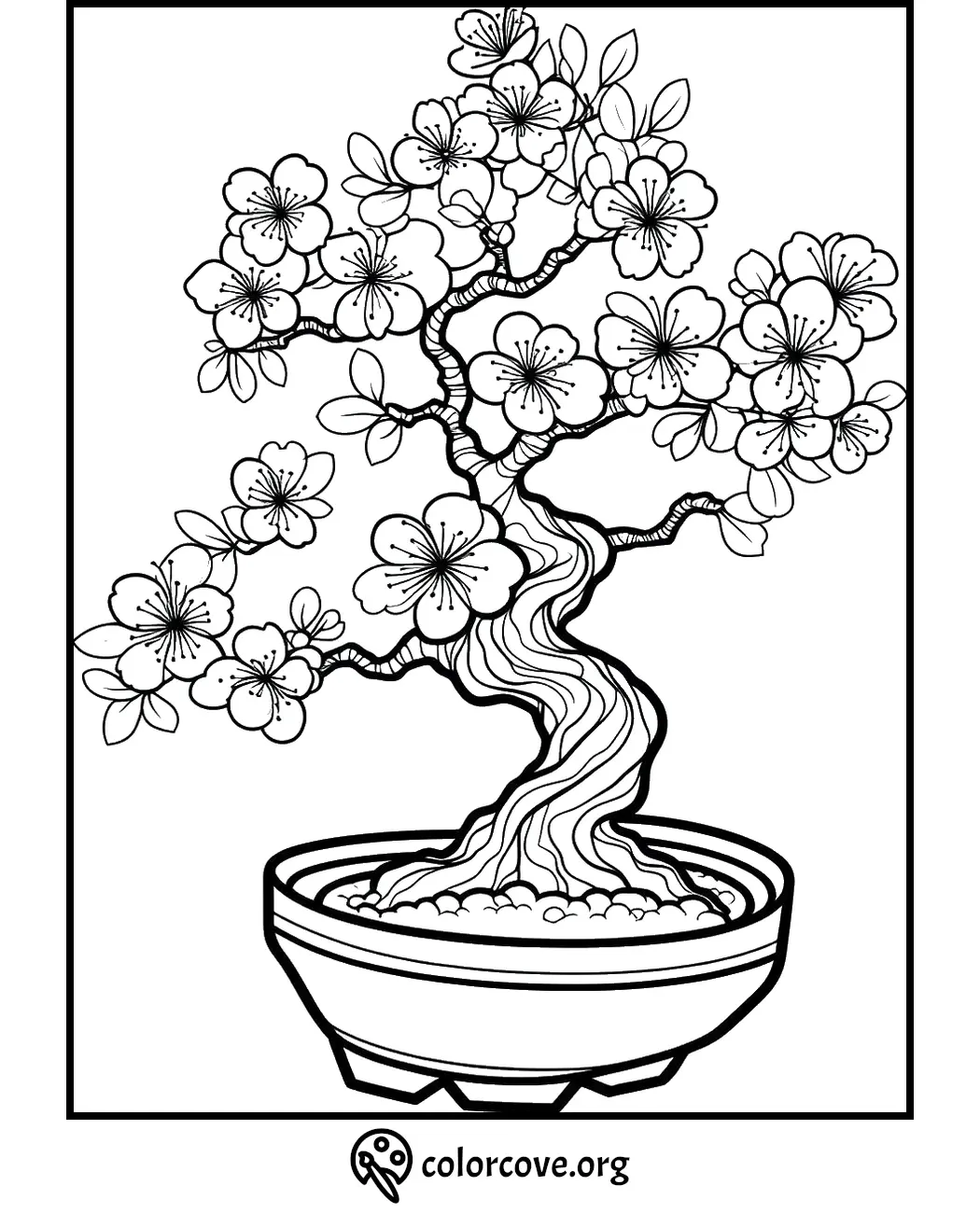 Coloring page of a blooming bonsai tree in a pot with intricate branch and flower details.