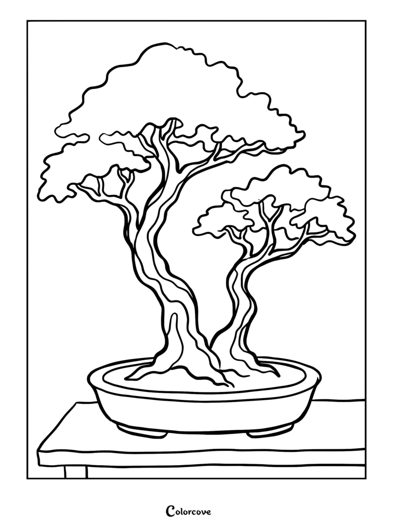 A detailed coloring page featuring a double trunk bonsai tree with lush foliage in a shallow oval pot on a table.