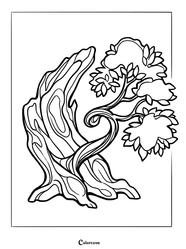 A detailed coloring page featuring a gnarled, twisted bonsai tree with a thick, textured trunk and three distinct leafy foliage clusters.