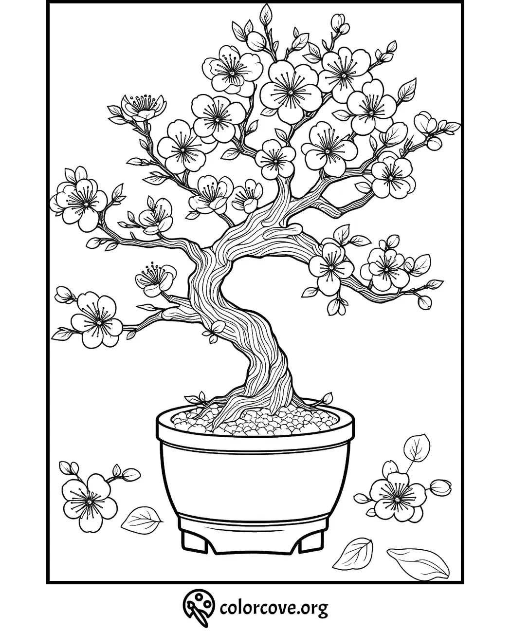 Bonsai tree coloring page with intricate cherry blossoms in a pot. Perfect for relaxation and creative expression.