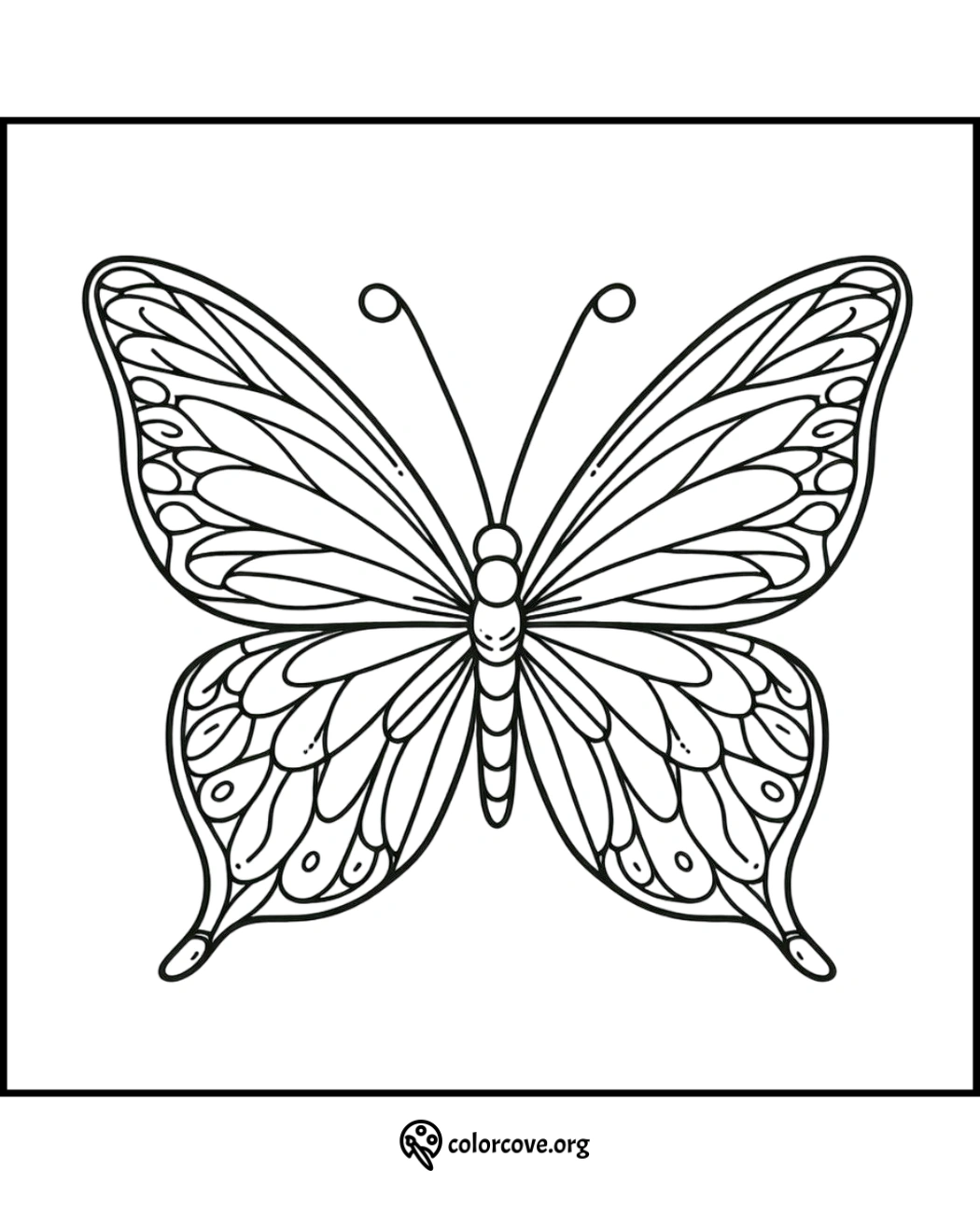 Butterfly coloring page with intricate wing details, perfect for kids and adults. Free printable from colorcove.org.