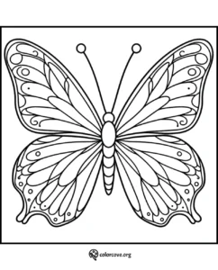 Butterfly coloring page for kids and adults with intricate wing patterns. Perfect for creative relaxation and art activities.