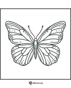 Butterfly coloring page with intricate wing patterns for relaxation and creativity. Printable and fun for kids and adults.