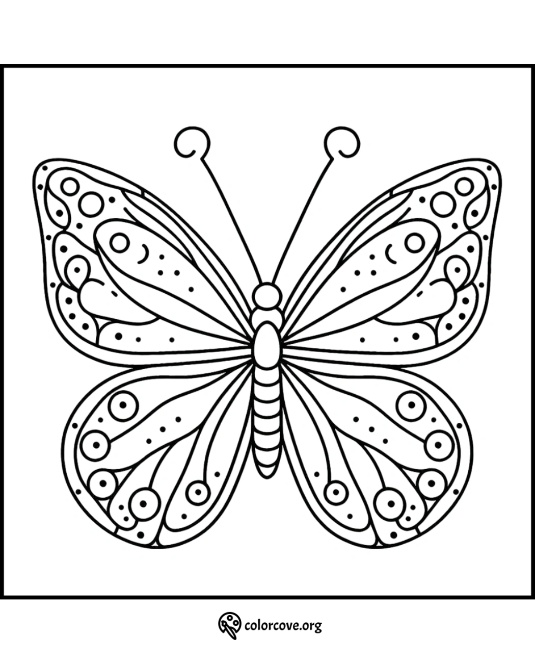 Butterfly coloring page with intricate patterns for kids and adults from ColorCove.org. Perfect for stress relief and creativity.