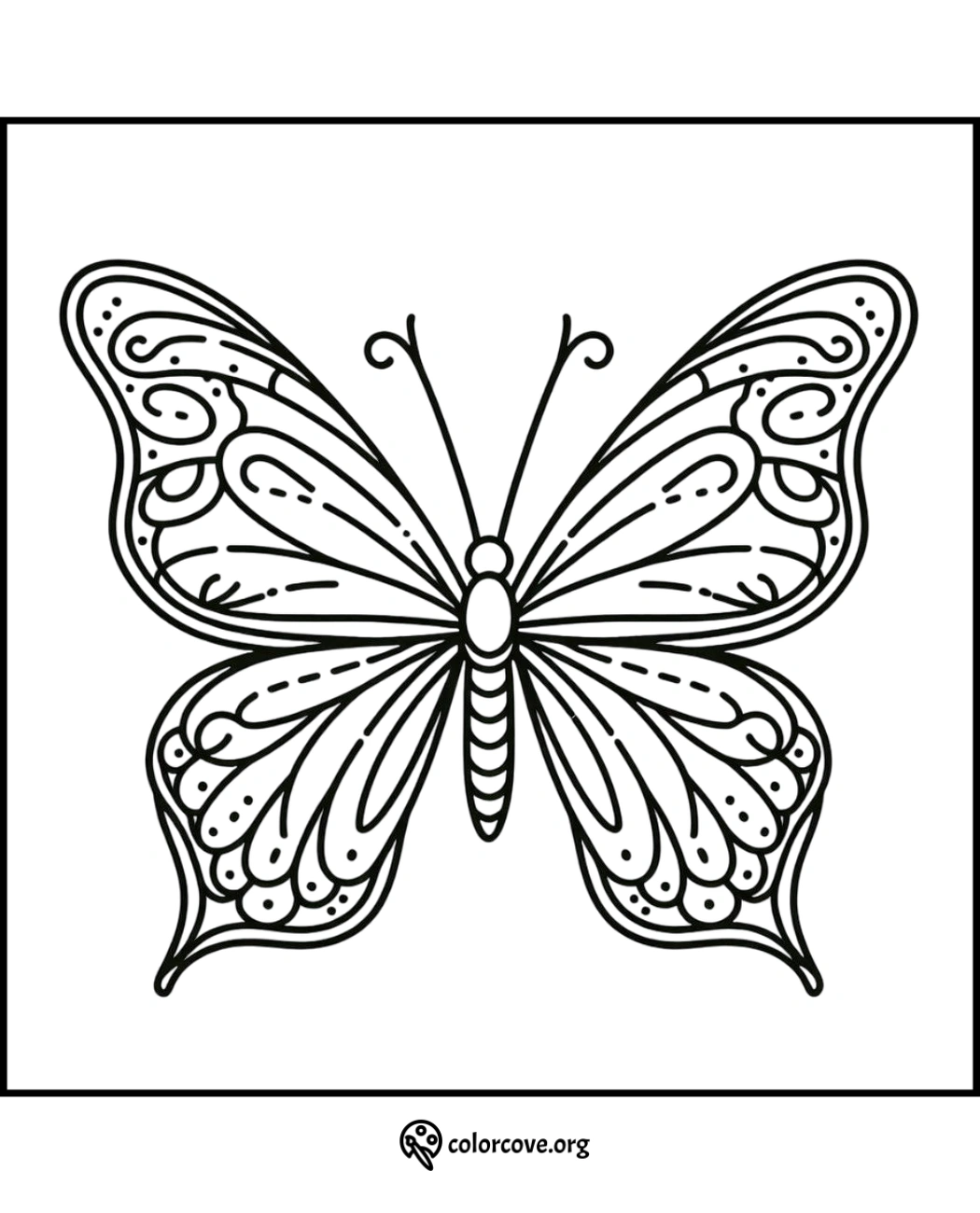 Butterfly coloring page for kids and adults, detailed wings, intricate design, printable and free at colorcove.org.