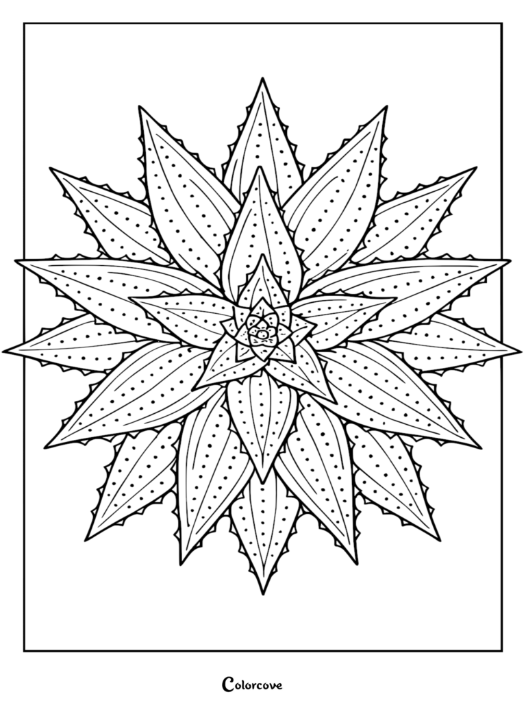 Top-down view of a symmetrical star-shaped succulent cactus with thorny leaves and dotted texture in a printable coloring page format.