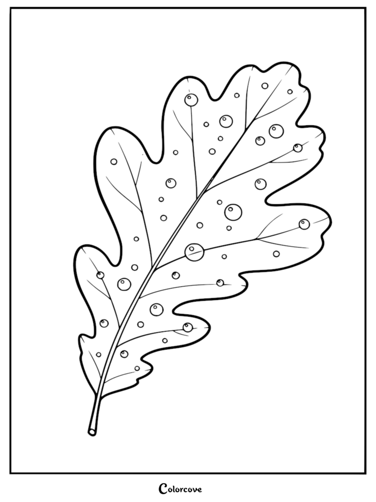 A calming coloring page featuring a single oak leaf covered in various sized dew drops and rain droplets.