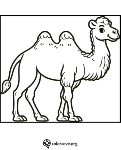 Camel coloring page for kids to print and color. Fun wildlife activity featuring a cute two-humped camel.